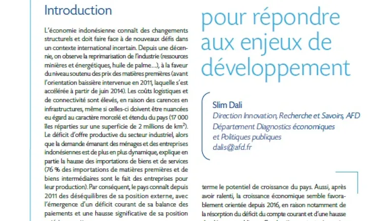 Macrodev  N°24 Indonésie Couverture