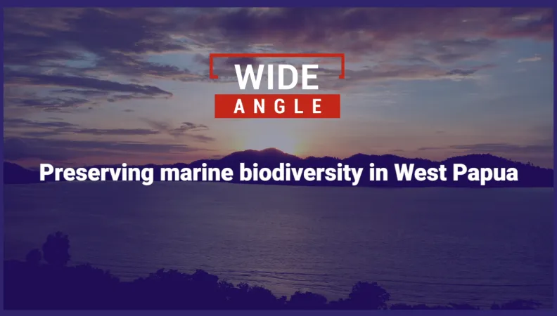 Preserving marine biodiversity in West Papua, Indonesia 